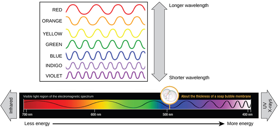 The illustration shows the colors of visible light. In order of decreasing wavelength, these are red, orange, yellow, green, blue, indigo, and violet.