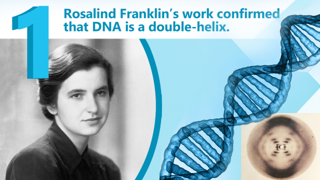 On the left is a photo of Rosalind Franklin. On the right is a graphic of a double helix.