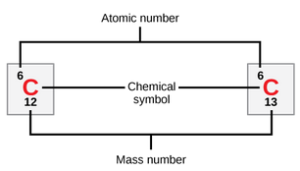 Carbon is indicated by its atomic symbol, a capital C. Carbon has the atomic number six and two stable isotopes, carbon-12 and carbon-13.