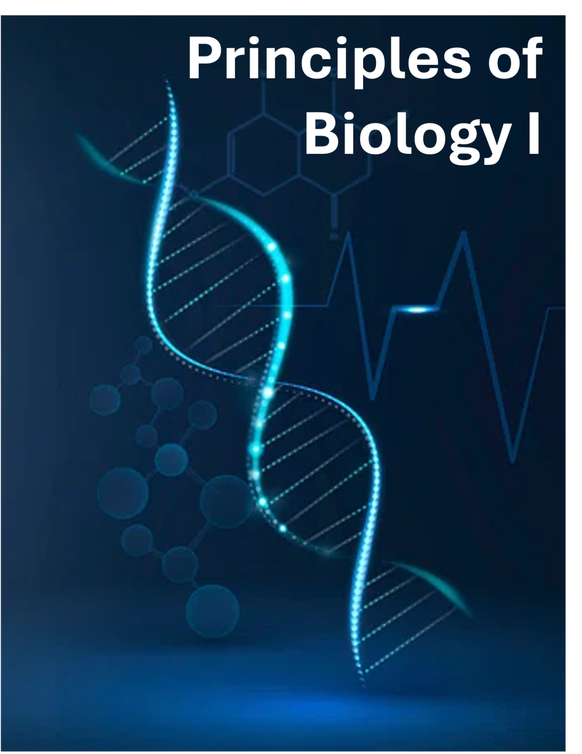 Cover image for Principles of Biology I