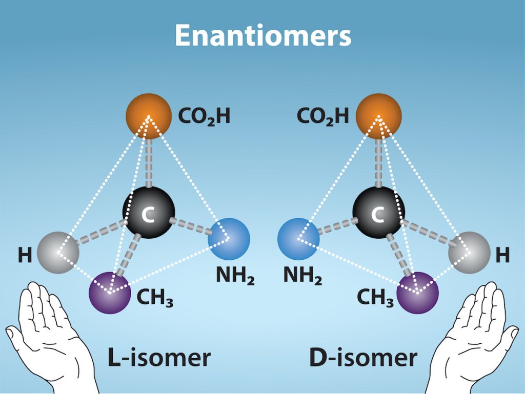 Molecular models of D-and L-alanine are shown. The two molecules, which contain the same number of carbon, hydrogen, nitrogen atoms, are mirror images of one another. Below the images, a left hand is shown near the L-isomer and the right hand is shown near the D-isomer.