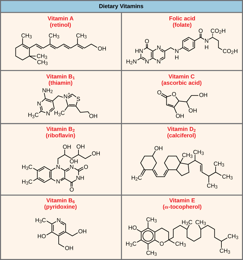 Shown are the molecular structures for Vitamin A, folic acid, Vitamin B1, Vitamin C, Vitamin B2, Vitamin D2, Vitamin B6, and Vitamin E.