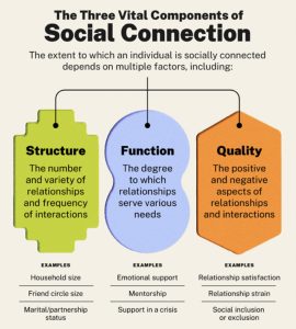 Fig. 2. Vivek H. Murthy, The Three Vital Components of Social Connection, photograph