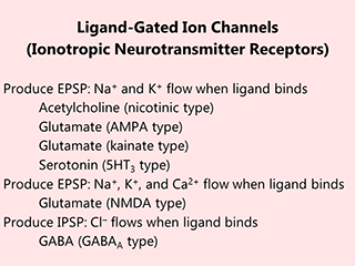 Table listing the ionotropic receptors.