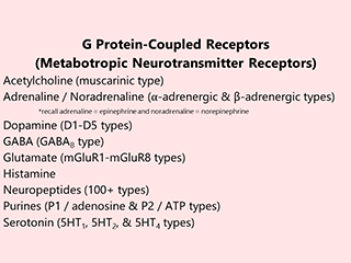 Table describing some types of metabotropic receptors.