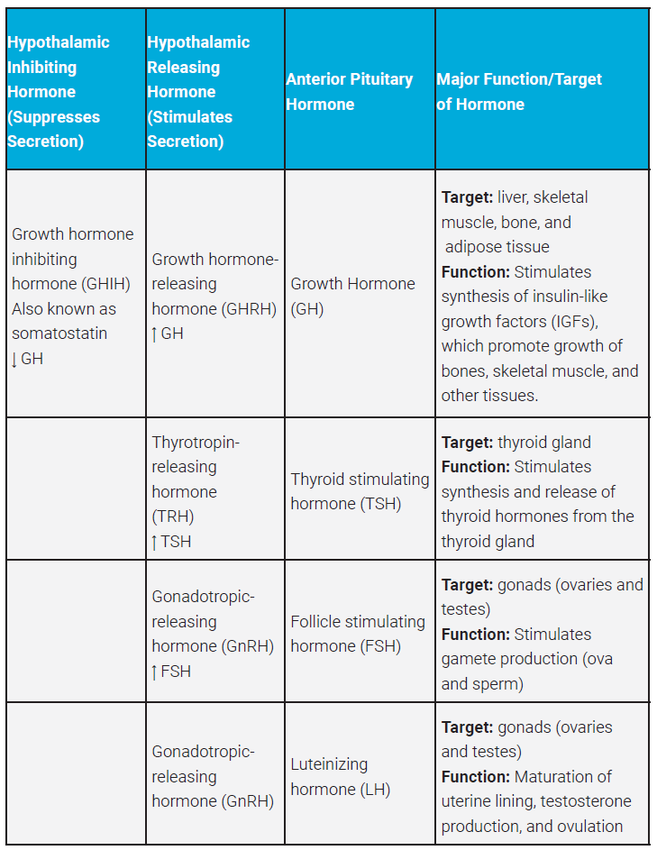 Table listing the hormones released from the anterior pituitary, part 1