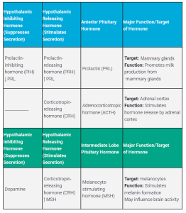 Table of the hypothalamic-hypophyseal axis for Prolactin and MSH.