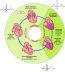 The Cardiac Cycle | Measuring and Managing the Output of the Heart ...