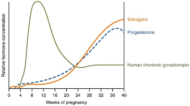 Graph showing the level of hormones during pregnancy and perinatally.