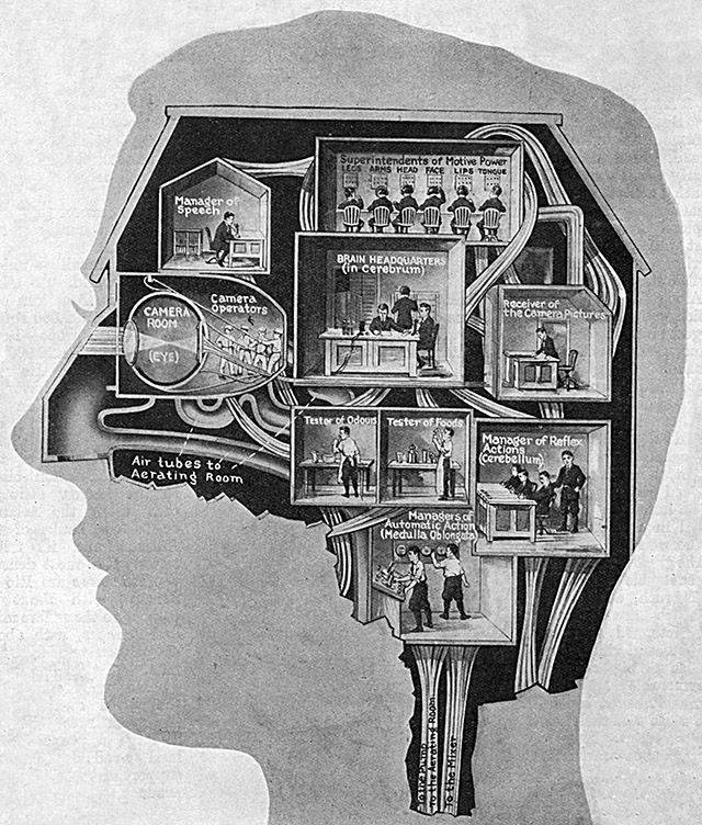 The brain, depicted as a business center: a series of offices including the headquarters (cerebrum) and camera operators (the eye muscles) etc.