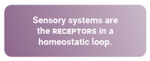 Text box: Sensory systems are the RECEPTORS in a homeostatic loop