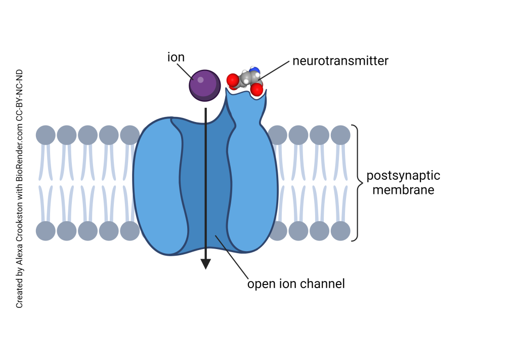 Diagram of a ligand-gated channel.