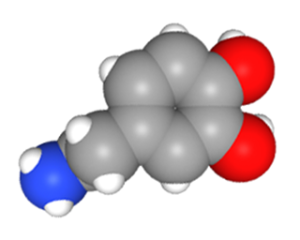 Space-filling model of the dopamine molecule.