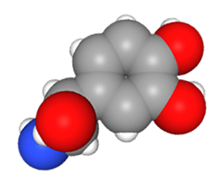 Space-filling model of the norepinephrine molecule.