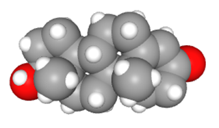 Space-filling model of the testosterone molecule.