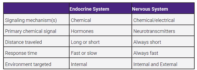 Table comparing and contrasting the endocrine and nervous system.