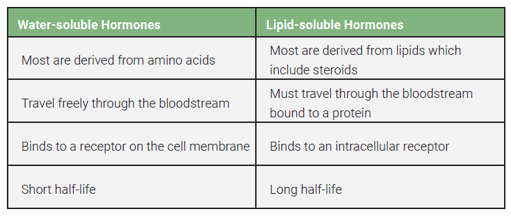 Table comparing and contrasting water-soluble and lipid-soluble hormones