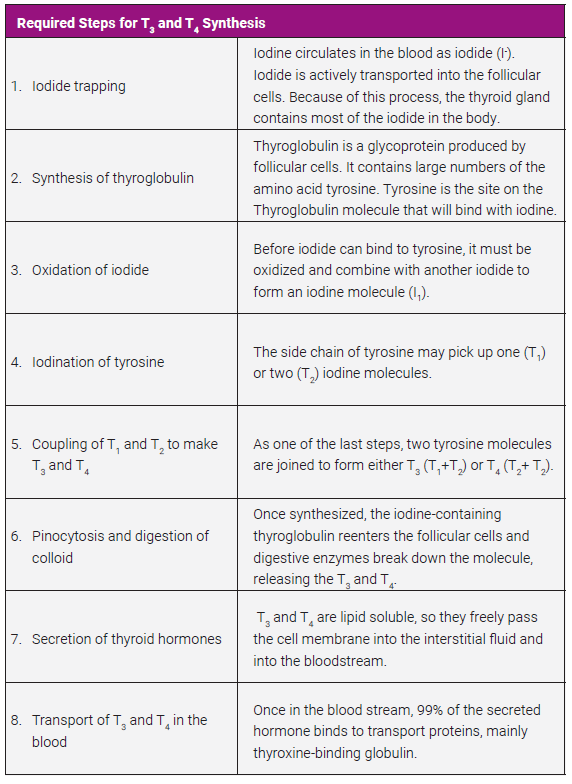 Table listing the required steps for T3 and T4 synthesis.