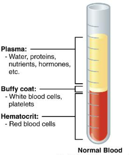 Diagram showing a centrifuge tube with the components of blood separated.