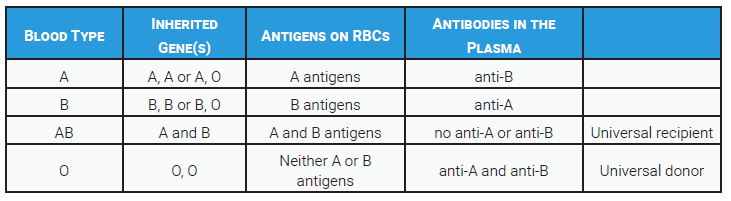 Table listing the antigens on the surface of red blood cells and antibodies present in the blood of individuals with different blood types.