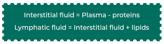 Text box with definition of interstitial fluid vs lymphatic fluid