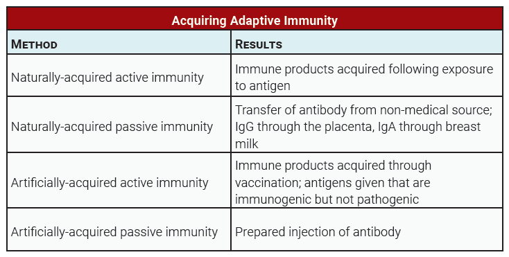 Table listing the types of adaptive immunity by how they are acquired.