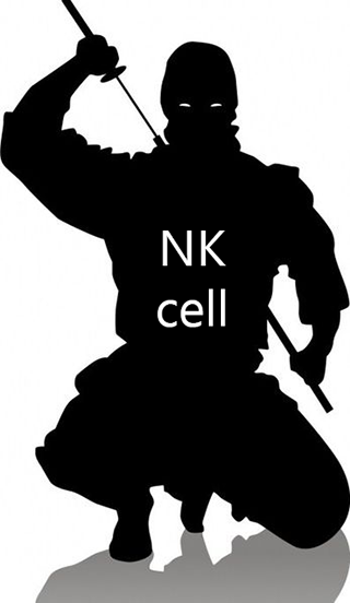 Graphic depicting an NK cell as a ninja.