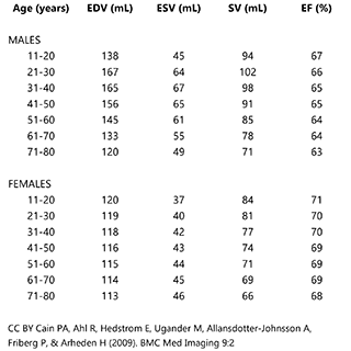 Table showing average values of various heart parameters.