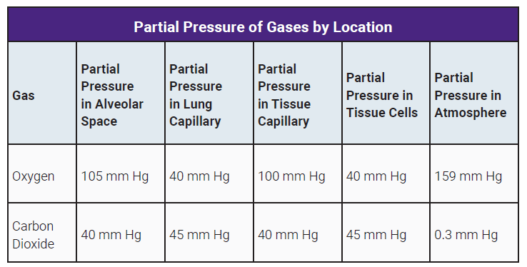 Table showing the partial pressures of oxygen and carbon dioxide.