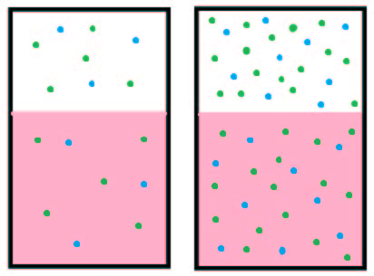 Illustration of Henry's Law.