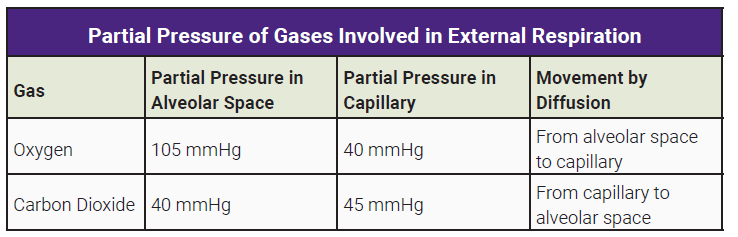 Table showing the partial pressure of gases in various parts of the body.