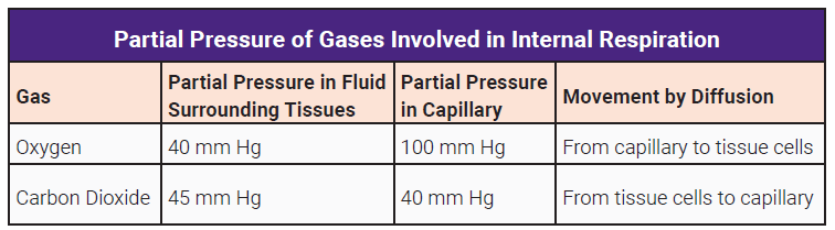 Table listing the partial pressures of oxygen and carbon dioxide in various parts of the circulation.