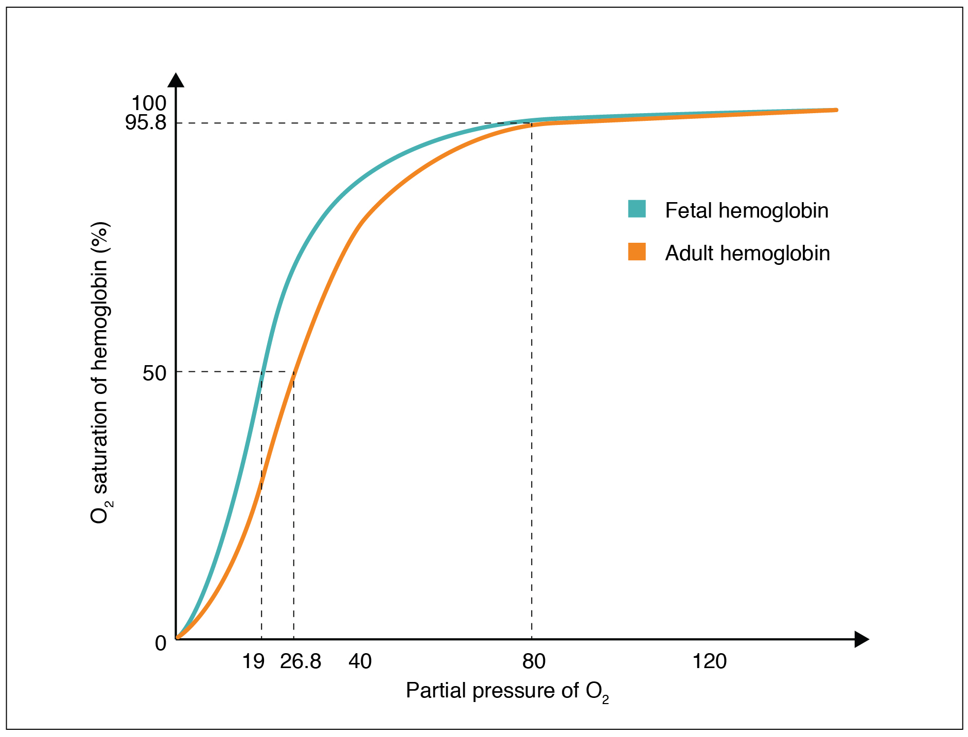 Oxygen-hemoglobin saturation curves for fetal and adult hemoglobin.