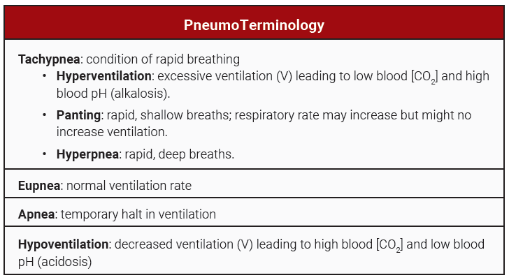 Table listing terms used to describe breathing.