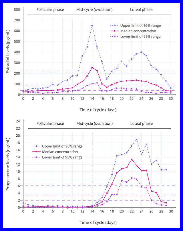 Graphs showing the levels of estrogen and progesterone during the reproductive cycle.