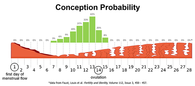 Diagram with histogram showing the probability of conception at different points in the uterine cycle.