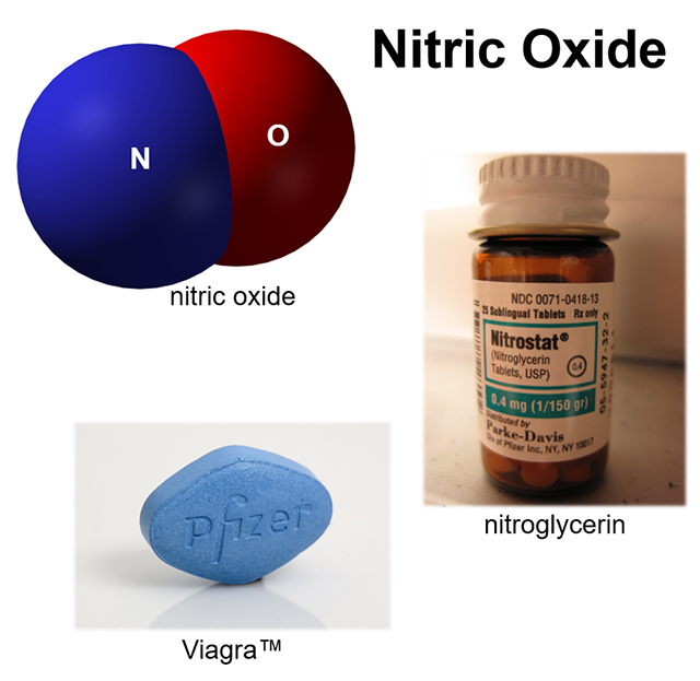 Composite diagram showing the nitric oxide molecule, a bottle of nitroglycerin, and a Viagra tablet.