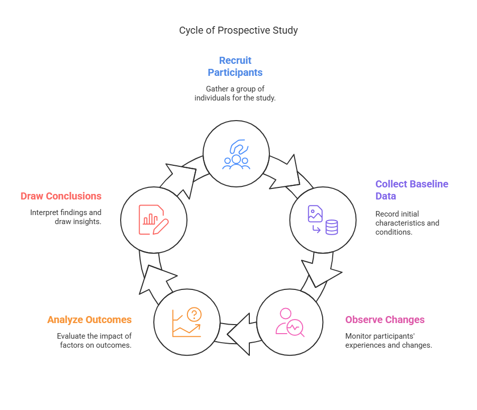 Cycle of Prospective Study diagram showing stages: Recruit Participants, Collect Baseline Data, Observe Changes, Analyze Outcomes, and Draw Conclusions.