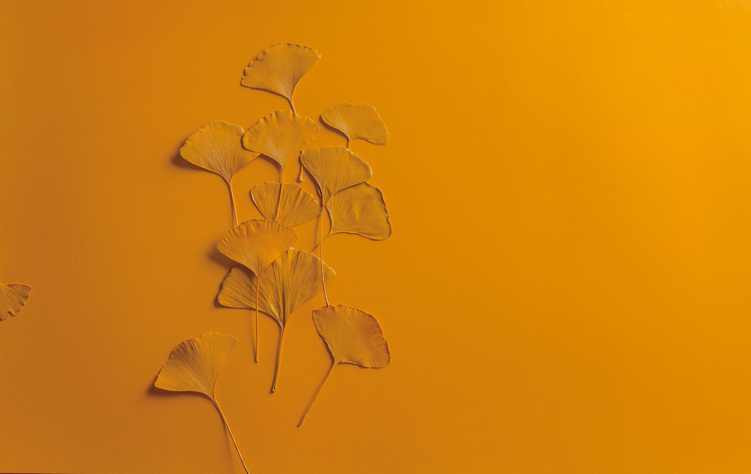 Orange Background with Leaves