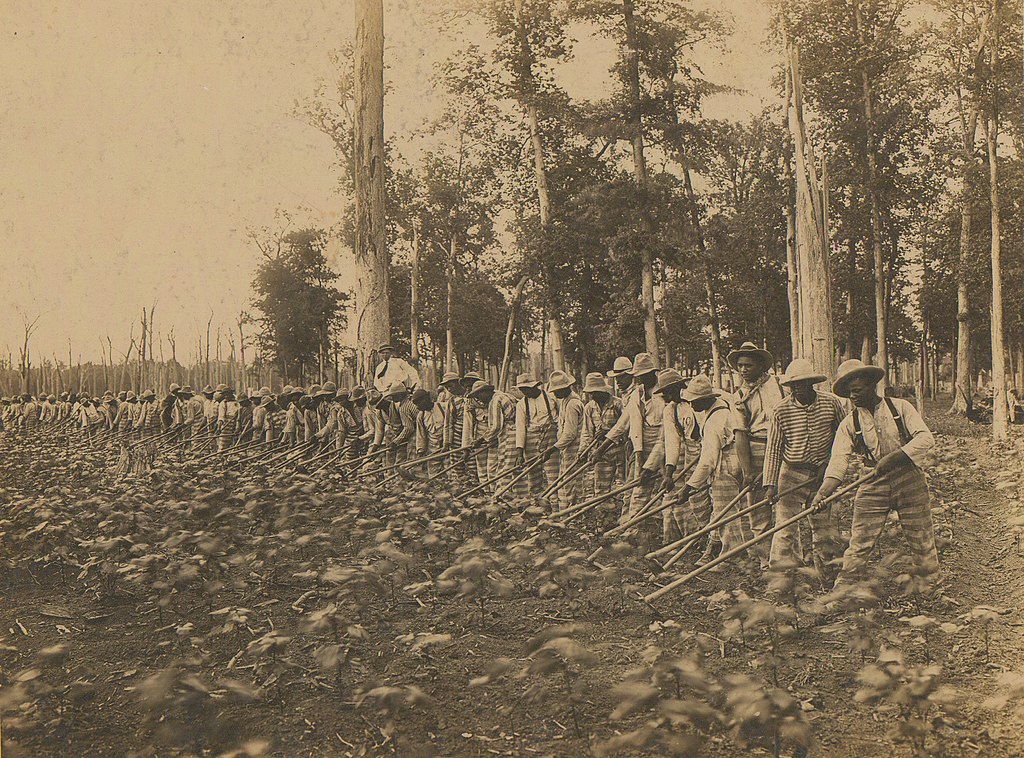 A group of individuals in striped clothing working in a field with hoes, surrounded by tall trees, in a sepia-toned photograph.