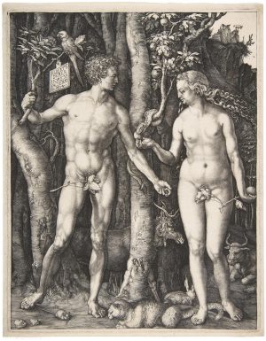 Albrecht Dürer, Adam and Eve, 1504, engraving, 24.92 x 19.21 cm (Minneapolis Institute of Art)