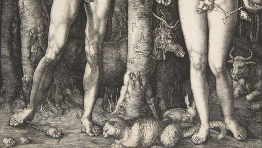 Animals (detail), Albrecht Dürer, Adam and Eve, 1504, engraving (fourth state), 25.1 x 20 cm (The Metropolitan Museum of Art)