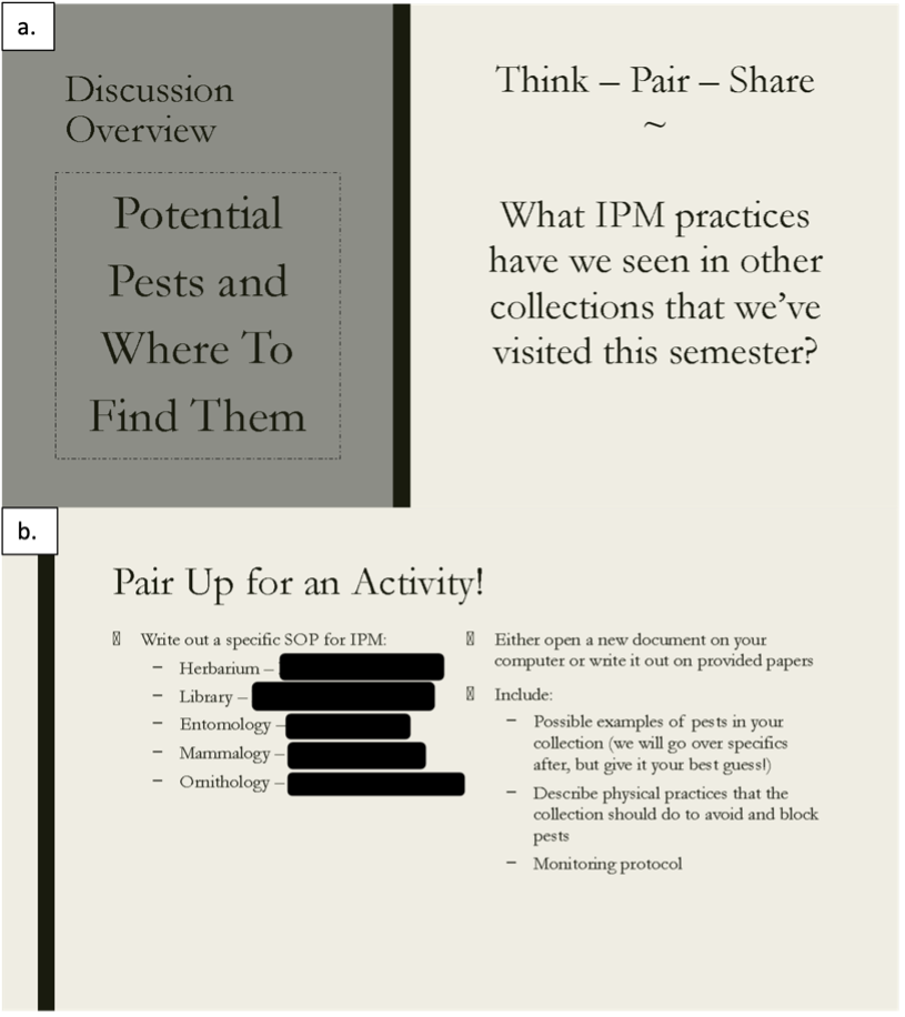 Educational slides on Integrated Pest Management (IPM) in collections: Left slide shows 'Discussion Overview' with 'Potential Pests and Where To Find Them' topic. Right slide displays 'Think-Pair-Share' activity asking about IPM practices observed in collections. Bottom section shows group activity instructions for creating SOPs for different collection types (Herbarium, Library, Entomology, Mammalogy, Ornithology) with specific requirements for documenting pests, prevention practices, and monitoring protocols.