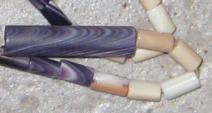 Wampum Beads wampum beads made out of quahog (purple) and whelk (white) shellfish by Elizabeth James Perry (Wampanoag Tribe of Gay Head-Aquinnah)
