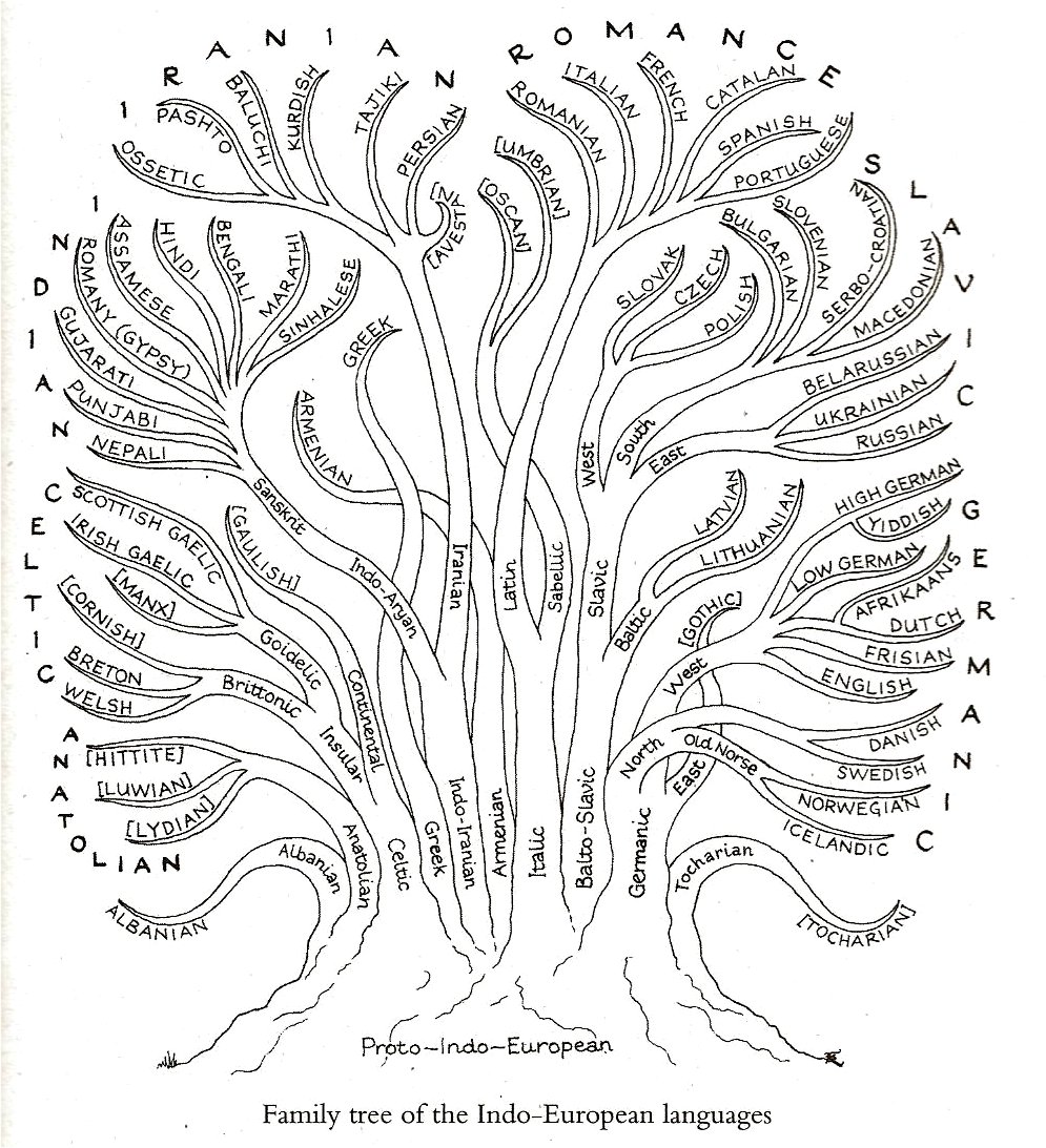 Family tree of the Indo-European languages