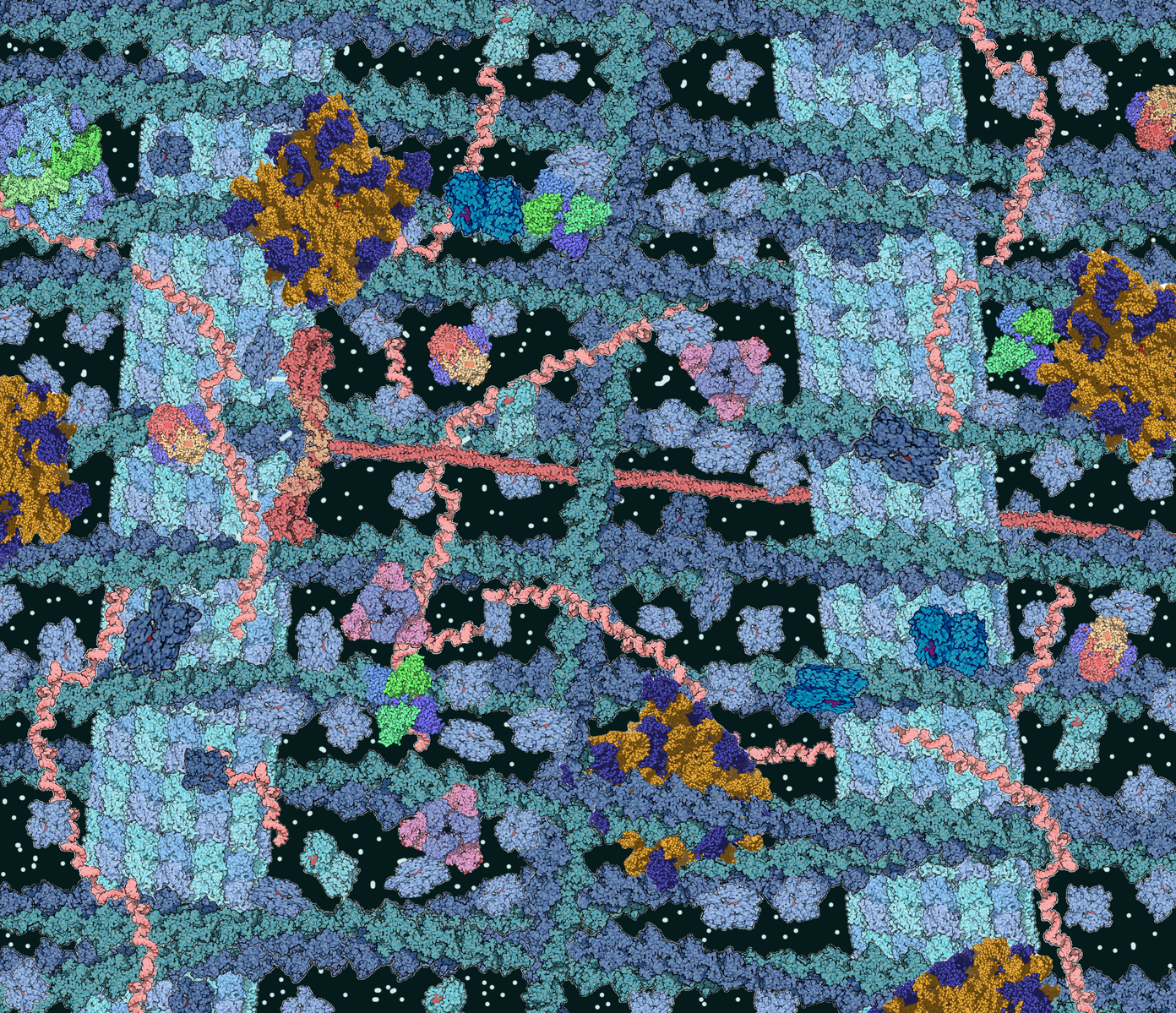 Artistic representation of the crowded cytoplasm of a typical cell.