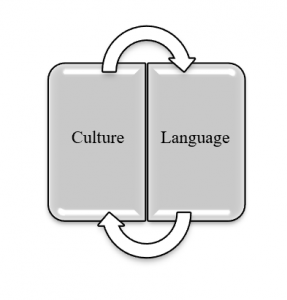 Two blocks, Culture and Language with arrows pointing between the two.